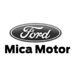 Mica motor